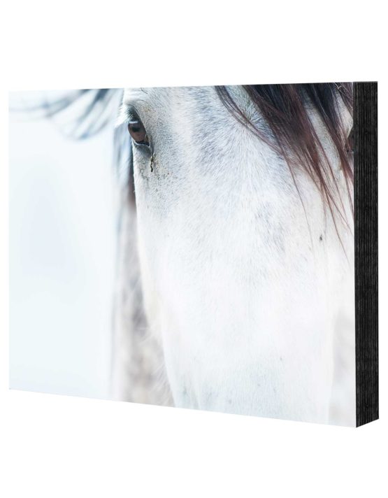 premium mounted photo prints from Goodprints