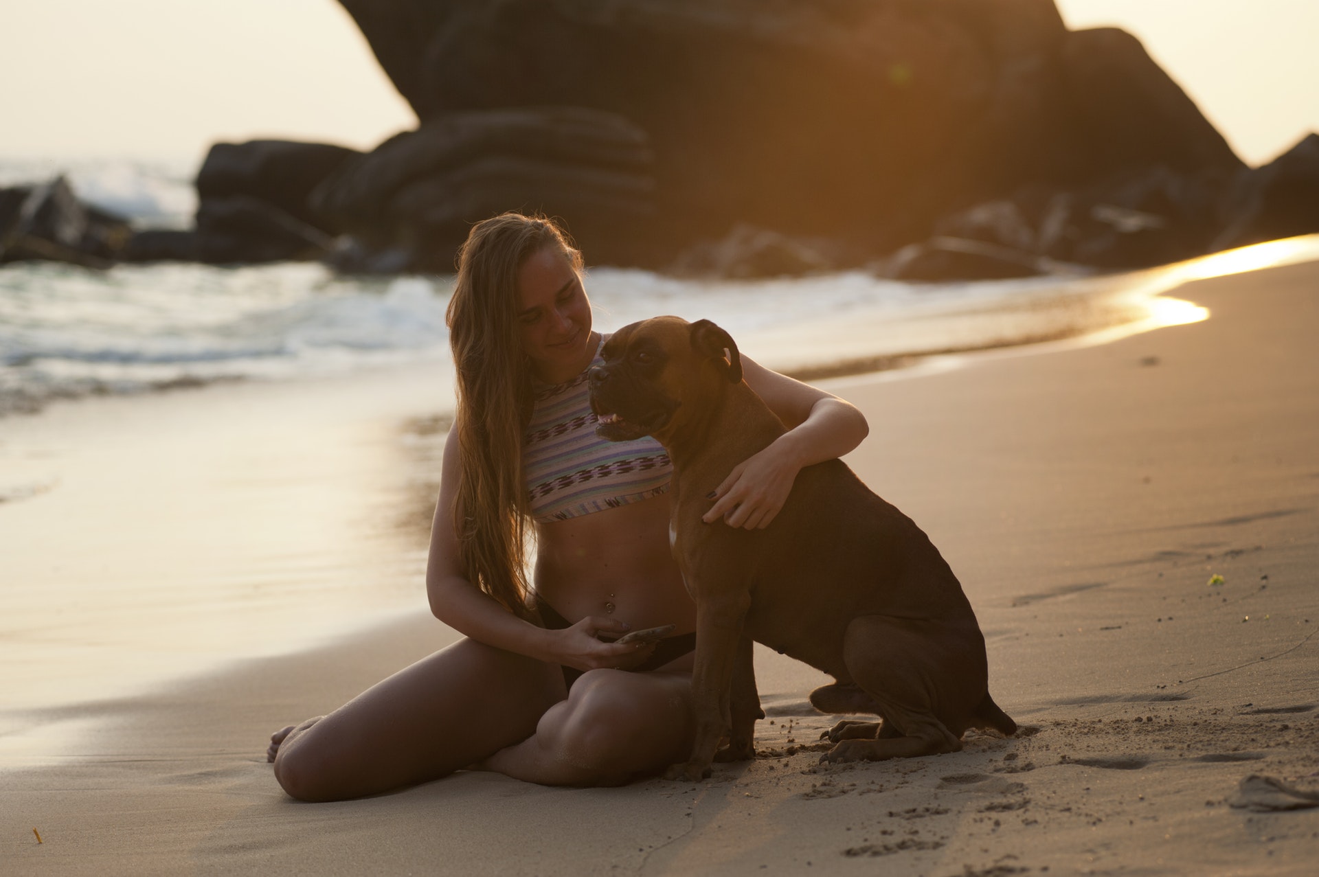 dog on the beach with owner